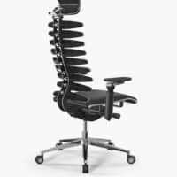 Ergolux spine s1 1 Ergolux spine s1 1