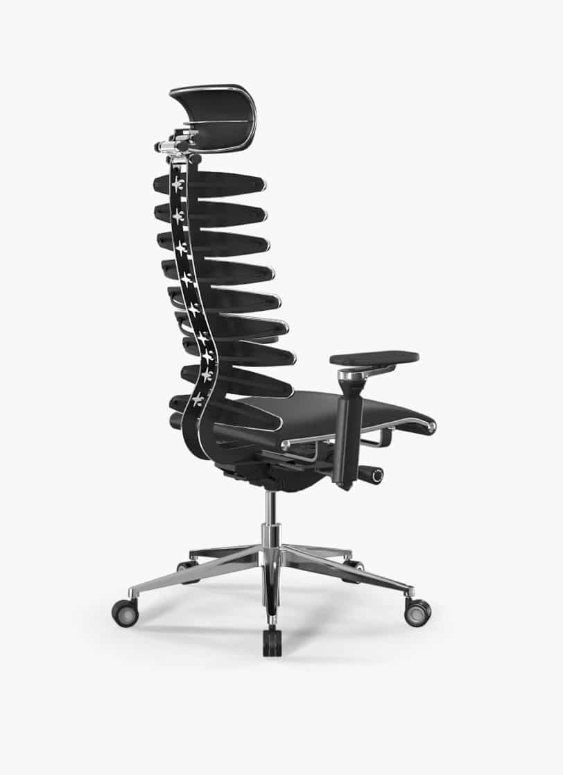 Ergolux spine s1 1 Ergolux spine s1 1
