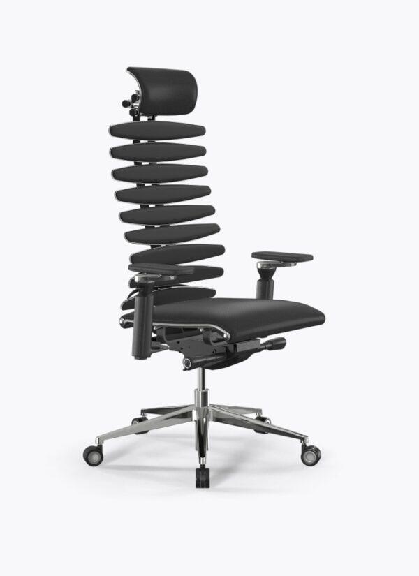 Ergolux spine s1