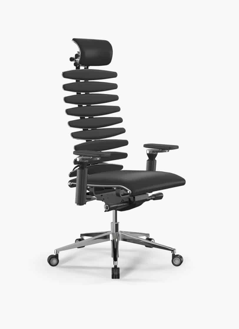Ergolux spine s1