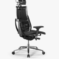 Ergolux spine s22 1 black