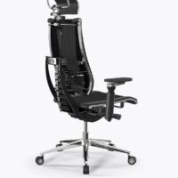 Ergolux spine s35