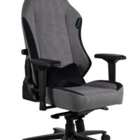 M Italia DYNAMIQ V19