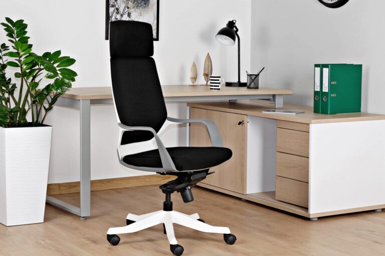 Ergonomska ureditev delovnega mesta